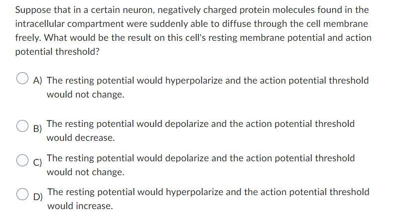 Suppose that in a certain neuron, negatively charged protein molecules found in the
intracellular compartment were suddenly able to diffuse through the cell membrane
freely. What would be the result on this cell's resting membrane potential and action
potential threshold?
A) The resting potential would hyperpolarize and the action potential threshold
would not change.
B)
The resting potential would depolarize and the action potential threshold
would decrease.
C)
The resting potential would depolarize and the action potential threshold
would not change.
D)
The resting potential would hyperpolarize and the action potential threshold
would increase.