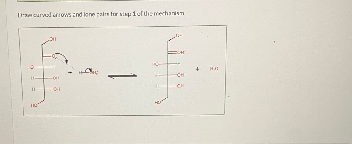 Draw curved arrows and lone pairs for step 1 of the mechanism.
HO
COH+
но-
но-
H-
HSH;
H-
HO-
H-
-OH-
H-
HO-
HO-
но
но
