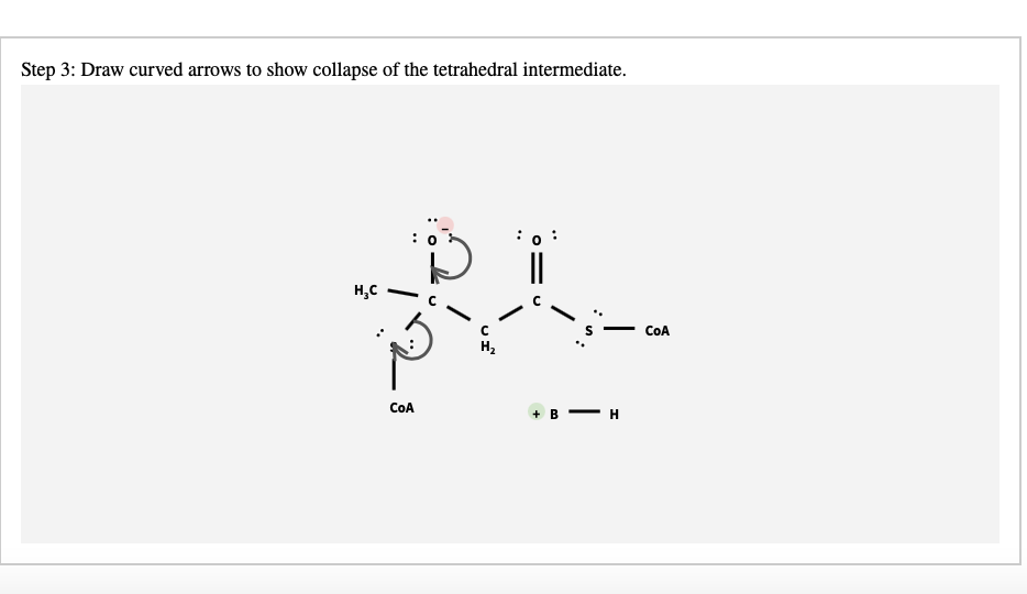 Step 3: Draw curved arrows to show collapse of the tetrahedral intermediate.
||
H,C
COA
H2
COA
+ в — н
":
