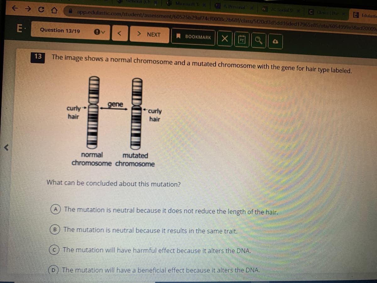 (ChX Micxt T
AIonal X
N IC Sorial St
Cer PorX
E Edulastic
app.edulastic.com/student/assessment/60525b29af74cf0008c2b68f/class/5f20cf3d5dd16ded17965e85/uta/6054999e58acf20009
E•
Question 13/19
> NEXT
A BOOKMARK
13
The image shows a normal chromosome and a mutated chromosome with the gene for hair type labeled.
gene
curly
hair
curly
hair
normal
chromosome chromosome
mutated
What can be concluded about this mutation?
A The mutation is neutral because it does not reduce the length of the hair.
B The mutation is neutral because it results in the same trait.
The mutation will have harmful effect because it alters the DNA.
The mutation will have a beneficial effect because it alters the DNA.
