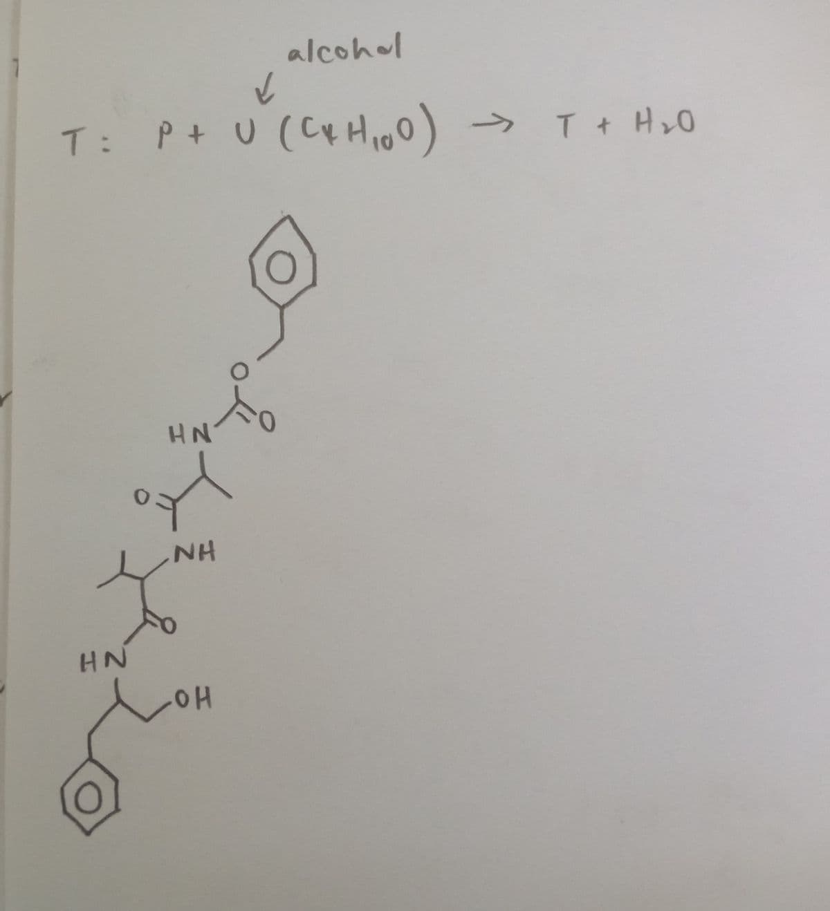 alcohol
T: P+ U (CYHioO)
->
T + H0
HN
NH
HN
OH
