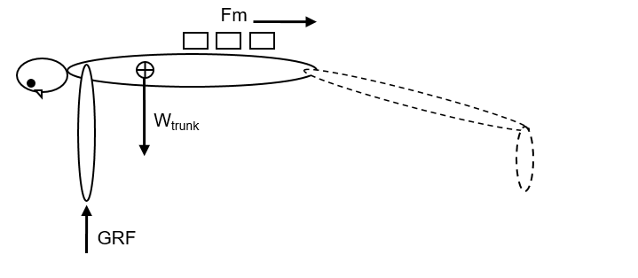 GRF
Wtrunk
Fm