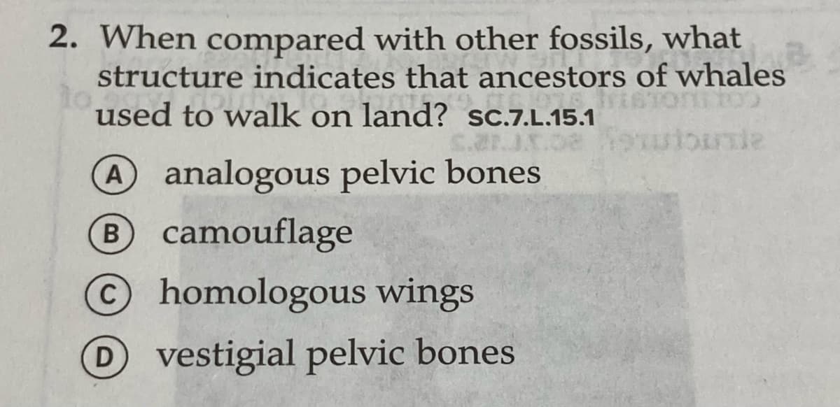2. When compared with other fossils, what
structure indicates that ancestors of whales
lo,
used to walk on land? sc.7.L.15.1
Aanalogous pelvic bones
Bcamouflage
Ohomologous wings
C
Dvestigial pelvic bones
