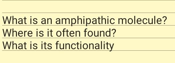 What is an amphipathic molecule?
Where is it often found?
What is its functionality