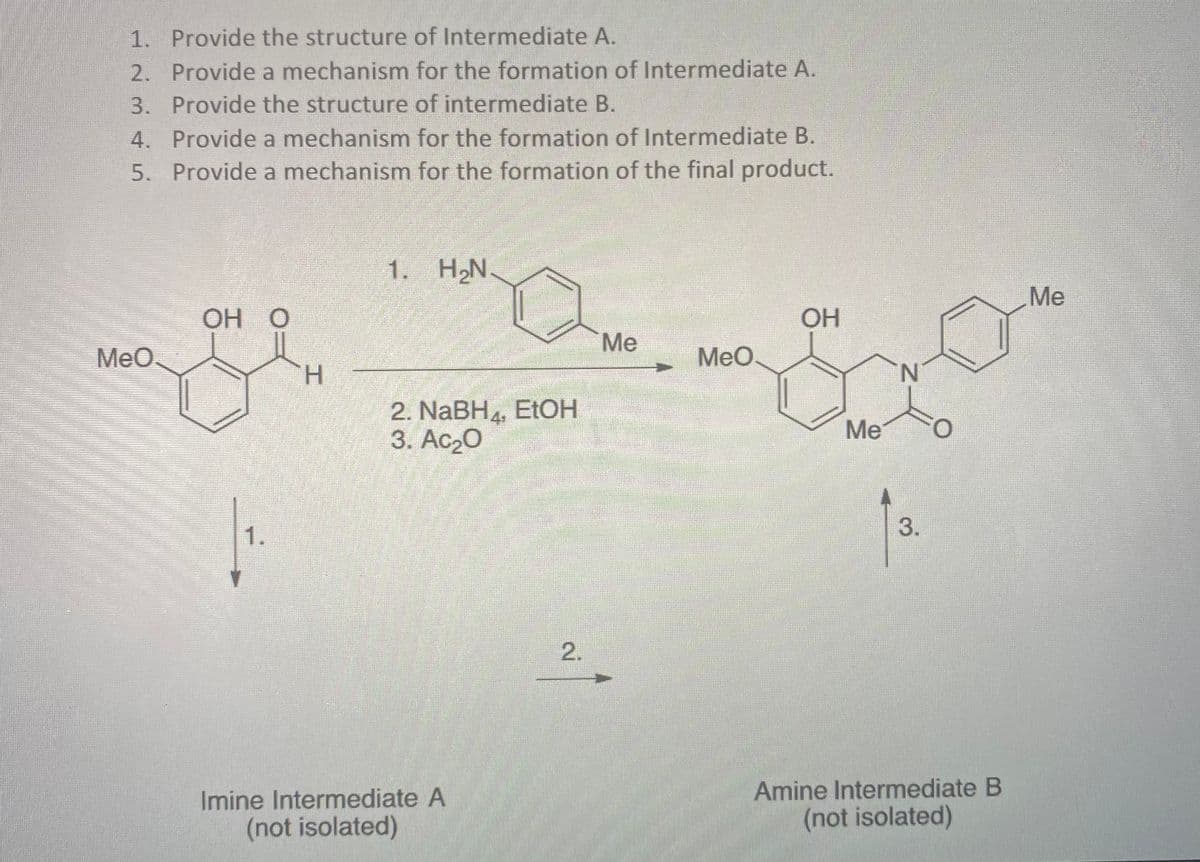 1. Provide the structure of Intermediate A.
2. Provide a mechanism for the formation of Intermediate A.
3. Provide the structure of intermediate B.
4. Provide a mechanism for the formation of Intermediate B.
5. Provide a mechanism for the formation of the final product.
MeO
OH O
H
1. H₂N
2. NaBH, EtOH
3. Ac₂0
Imine Intermediate A
(not isolated)
2.
Me
MeO
OH
Me
N
3.
Amine Intermediate B
(not isolated)
Me