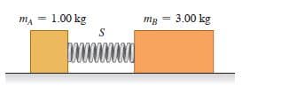 mA
1.00 kg
mg = 3.00 kg
S
