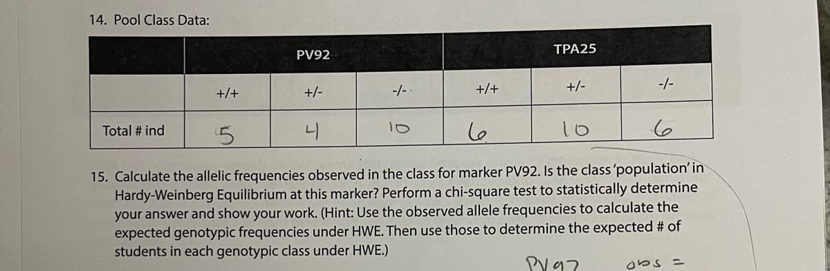 14. Pool Class Data:
TPA25
PV92
+/+
+/-
-/-
+/+
+/-
-/-
Total # ind
5.
니
15. Calculate the allelic frequencies observed in the class for marker PV92. Is the class 'population' in
Hardy-Weinberg Equilibrium at this marker? Perform a chi-square test to statistically determine
your answer and show your work. (Hint: Use the observed allele frequencies to calculate the
expected genotypic frequencies under HWE. Then use those to determine the expected # of
students in each genotypic class under HWE.)
Py97
obs =
