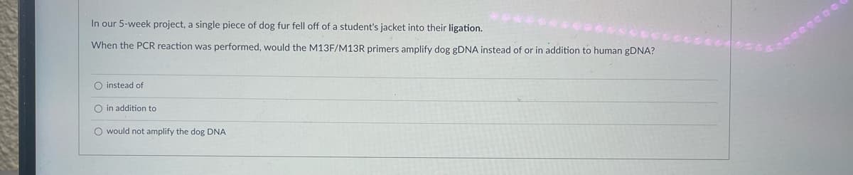 In our 5-week project, a single piece of dog fur fell off of a student's jacket into their ligation.
When the PCR reaction was performed, would the M13F/M13R primers amplify dog gDNA instead of or in addition to human gDNA?
O instead of
O in addition to
O would not amplify the dog DNA