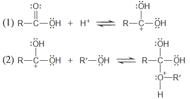 :ÖH
:0:
||
(1) R—C—Ӧн + H+
R-C-ÖH
+
:ÖH
:ÖH
(2) R—с—Ӧн + R'—ӧн
R'-ÖH R-C-ÖH
:0-R'
H
