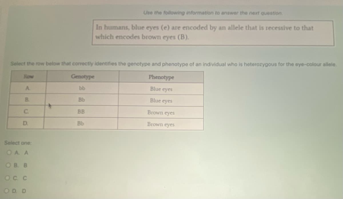 Row
Select the row below that correctly identifies the genotype and phenotype of an individual who is heterozygous for the eye-colour allele.
Phenotype
Genotype
bb
Blue eyes
Blue eyes
A
B.
C
D.
Select one:
OA A
OB B
OC C
OD D
Bb
BB
Use the following information to answer the next question.
Bb
In humans, blue eyes (e) are encoded by an allele that is recessive to that
which encodes brown eyes (B).
Brown eyes
Brown eyes