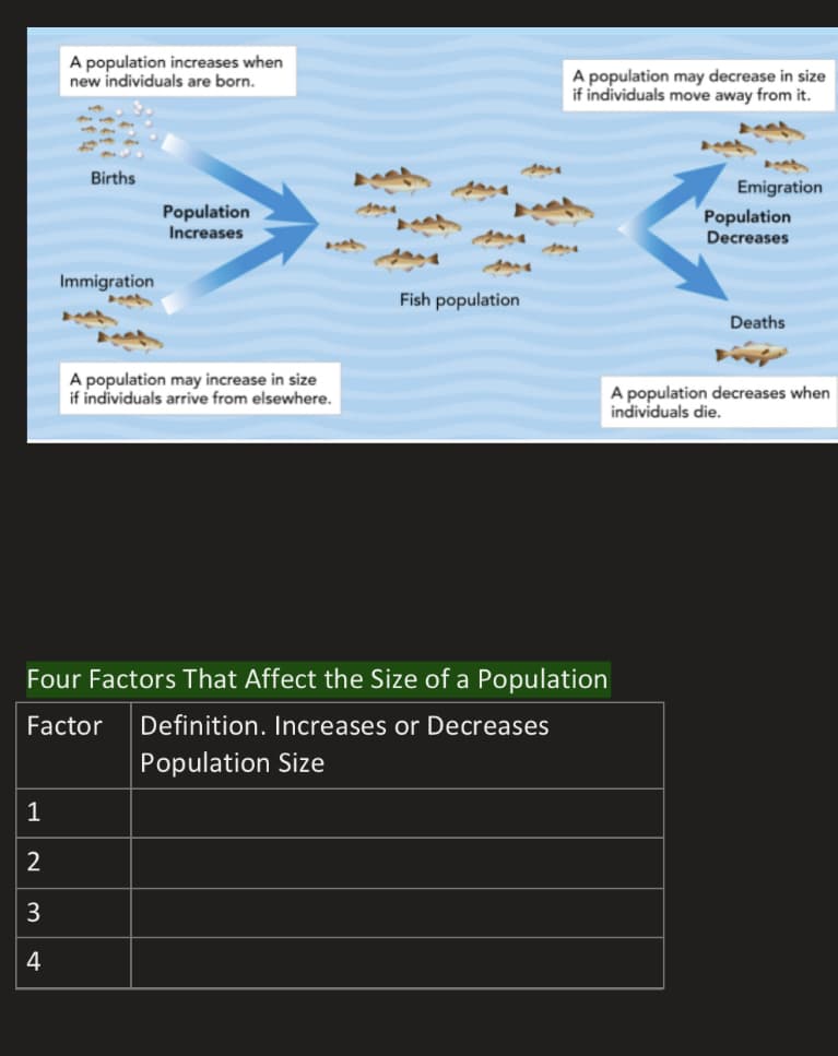 A population increases when
new individuals are born.
A population may decrease in size
if individuals move away from it.
Births
Emigration
Population
Increases
Population
Decreases
Immigration
Fish population
Deaths
A population may increase in size
if individuals arrive from elsewhere.
A population decreases when
individuals die.
Four Factors That Affect the Size of a Population
Factor
Definition. Increases or Decreases
Population Size
1
2
3
4
