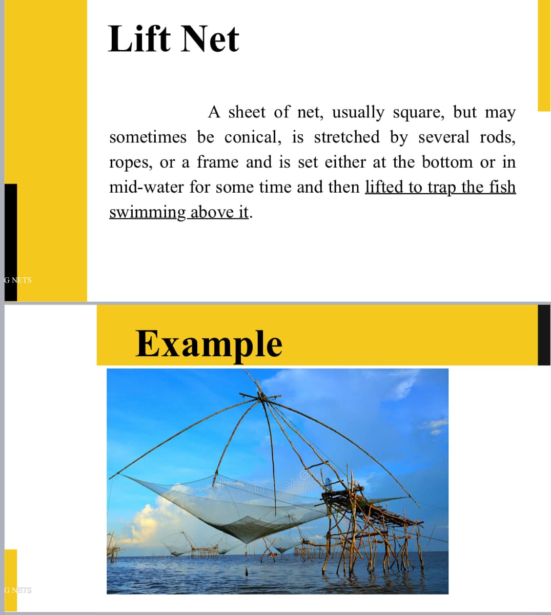 G NETS
G NETS
Lift Net
A sheet of net, usually square, but may
sometimes be conical, is stretched by several rods,
ropes, or a frame and is set either at the bottom or in
mid-water for some time and then lifted to trap the fish
swimming above it.
Example