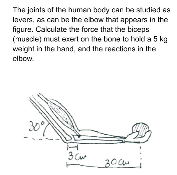 The joints of the human body can be studied as
levers, as can be the elbow that appears in the
figure. Calculate the force that the biceps
(muscle) must exert on the bone to hold a 5 kg
weight in the hand, and the reactions in the
elbow.
30%
зал
30 сем