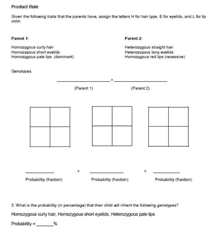 Product Rule
Given the following traits that the parents have, assign the letters H for hair type, E for eyelids, and L for lip
color.
Parent 1:
Homozygous curly hair
Homozygous short eyelids
Homozygous pale lips (dominant)
Genotypes
Probability (fraction)
(Parent 1)
Parent 2:
Heterozygous straight hair
Heterozygous long eyelids
Homozygous red lips (recessive)
Probability (fraction)
(Parent 2)
Probability (fraction)
3. What is the probability (in percentage) that their child will inherit the following genotypes?
Homozygous curly hair, Homozygous short eyelids, Heterozygous pale lips
Probability=
%