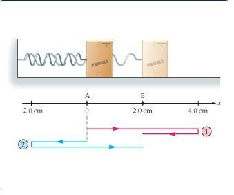 DWDDG
+
-2.0 cm
A
B
2.0 cm
4.0 cm