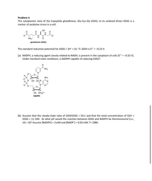 Problem 4
The cytoplasmic ratio of the tripeptide glutathione, Glu-Cys-Gly (GSH), to its axidized dimer GSSG is a
marker of oxidative stress in a cell.
glutathione (aS)
The standard reduction potential for GSSG + 2H" + 2e= 26SH is E"=-0.23 V.
(a) NADPH, a reducing agent closely related to NADH, is present in the cytoplasm of cells (E" = -0.32 V).
Under standard state conditions, is NADPH capable of reducing GSSG?
NH
OH OH N-
TH
OH OPO
NADPH
(b) Assume that the steady-state ratio of GSH/GSSG = 50:1 and that the total concentration of GSH +
GSSG = 12 mM. At what pH would the reaction between GSSG and NADPH be thermoneutral (i.e.,
AG = 0)? Assume (NADPH) = 3 mM and (NADP') = 0.03 mM; Te 298K.
