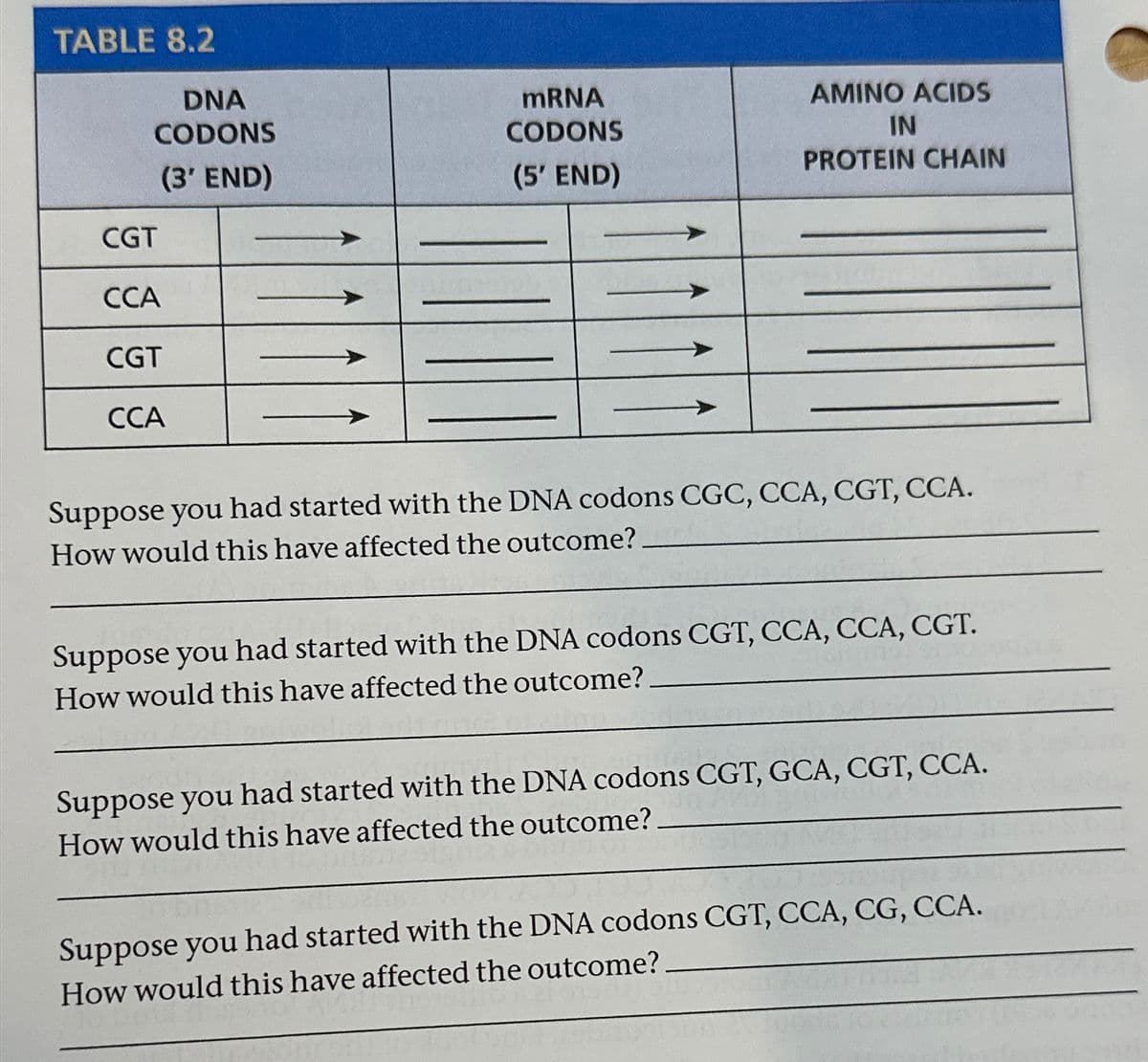 TABLE 8.2
DNA
CODONS
(3' END)
CGT
CCA
CGT
CCA
mRNA
CODONS
(5' END)
AMINO ACIDS
IN
PROTEIN CHAIN
Suppose you had started with the DNA codons CGC, CCA, CGT, CCA.
How would this have affected the outcome?
Suppose you had started with the DNA codons CGT, CCA, CCA, CGT.
How would this have affected the outcome?
Suppose you had started with the DNA codons CGT, GCA, CGT, CCA.
How would this have affected the outcome?
Suppose you had started with the DNA codons CGT, CCA, CG, CCA.
How would this have affected the outcome?