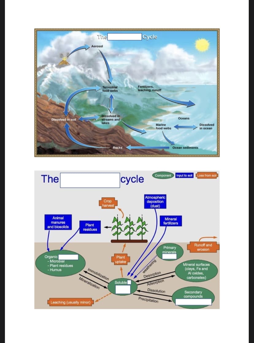 Dissolved in soil
The
Animal
manures
and blosolids
Organic
- Microbial
- Plant residues
- Humus
The
Aerosol
Plant
residues
Leaching (usually minor)
Terrestrial
food webs
Dissolved in
streams and
lakes
Mineralization
Immobilization
Rocks
Crop
harvest,
Plant
uptake
Cycle
cycle
Soluble
Fertilizers,
leaching, runoff
Marine
food webs
************
Atmospheric
deposition
(dust)
.....
Component input to soll Loss from soll
weathering
Desorption
Adsorption
Dissolution
Precipitation
Oceans
Ocean sediments
Primary
minerals
Mineral
fertilizers
Dissolved
in ocean
Runoff and
erosion
Mineral surfaces
(clays, Fe and
Al oxides,
carbonates)
Secondary
compounds