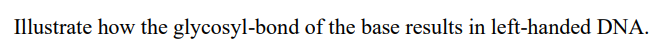 Illustrate how the glycosyl-bond of the base results in left-handed DNA.
