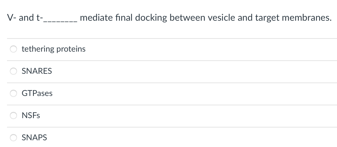 V- and t-
tethering proteins
SNARES
GTPases
NSFs
mediate final docking between vesicle and target membranes.
SNAPS