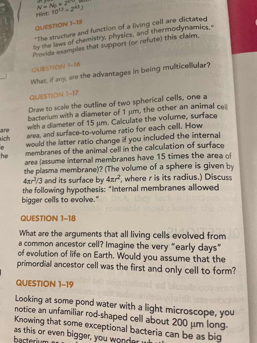 are
nich
e
che
|
N= No x 2
Hint: 1013 243.)
QUESTION 1-15
"The structure and function of a living cell are dictated
by the laws of chemistry, physics, and thermodynamics."
2MA3T Y3X
Provide examples that support (or refute) this claim.
QUESTION 1-16
What, if any, are the advantages in being multicellular?
QUESTION 1-17
Draw to scale the outline of two spherical cells, one a
bacterium with a diameter of 1 µm, the other an animal cell
with a diameter of 15 μm. Calculate the volume, surface
area, and surface-to-volume ratio for each cell. How
would the latter ratio change if you included the internal
membranes of the animal cell in the calculation of surface
area (assume internal membranes have 15 times the area of
the plasma membrane)? (The volume of a sphere is given by
4r³/3 and its surface by 4tr², where r is its radius.) Discuss
the following hypothesis: "Internal membranes allowed
bigger cells to evolve."
nble
closely
QUESTION 1-18
What are the arguments that all living cells evolved from
a common ancestor cell? Imagine the very "early days"
of evolution of life on Earth. Would you assume that the
primordial ancestor cell was the first and only cell to form?
QUESTION 1-19
Looking at some pond water with a light microscope, you
notice an unfamiliar rod-shaped cell about 200 μm long.
Knowing that some exceptional bacteria can be as big
as this or even bigger, you wonder wh
bacterium