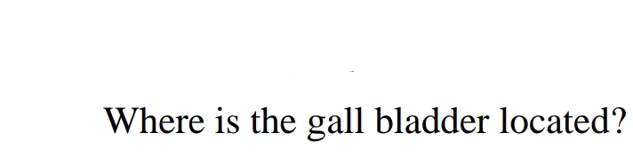 Where is the gall bladder located?
