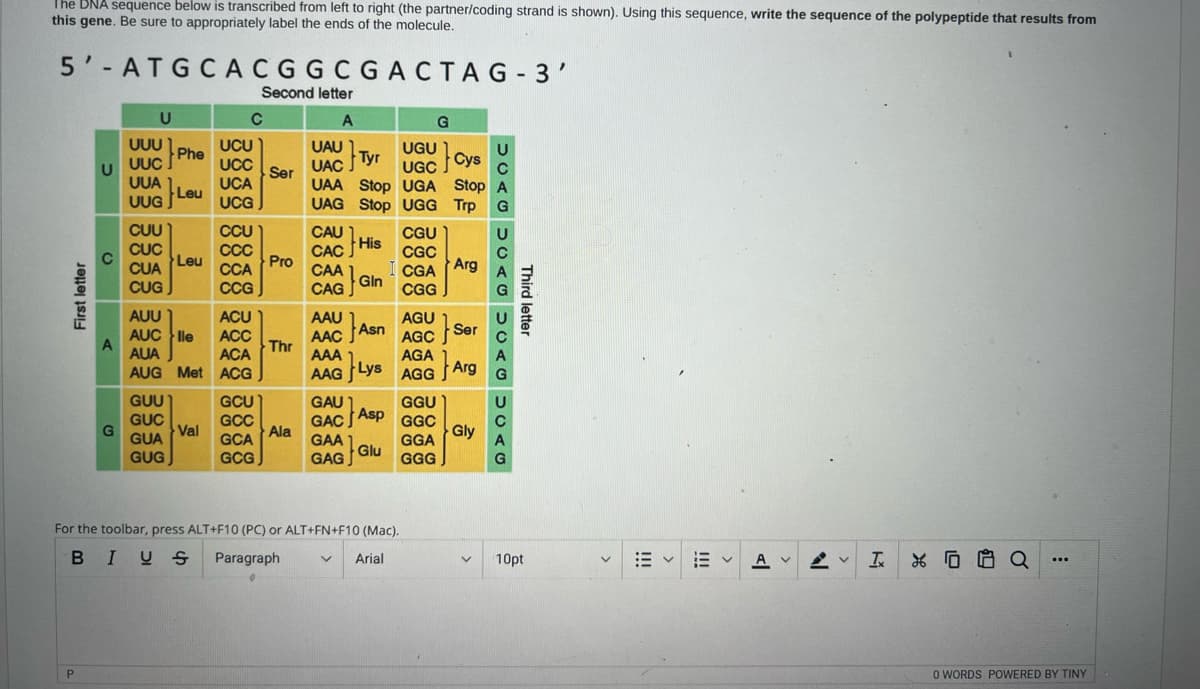 The BNA sequence below is transcribed from left to right (the partner/coding strand is shown). Using this sequence, write the sequence of the polypeptide that results from
this gene. Be sure to appropriately label the ends of the molecule.
5'-ATGCACGGCGACTAG-3'
Second letter
A
UAU Tyr
UAC
First letter
U
P
с
> <
A
G
U
UUU
UUC Phe
UUA
UUG
CUU
CUC
CUA
CUG
L
GUU
GUC
GUA
GUG
Leu
Leu
AUU
AUC lle
AUA
AUG Met
Val
C
UCU
UCC
UCA
UCG
CCU
CCC
CCA
CCG
ACU
ACC
ACA
ACG
GCU
GCC
GCA
GCG
Ser
Pro
Thr
Ala
Cys
UAA Stop UGA Stop A
Trp
UAG Stop UGG
CAC His
CGU
J
CGC
CAA I CGA
Gin
CAGG
CGG
AAA 1
AAG Lys
UGU
UGC
AAU Asn AGC}
AAC
GAC Asp
GAA
GAGGIU
For the toolbar, press ALT+F10 (PC) or ALT+FN+F10 (Mac).
BIUS Paragraph
V Arial
G
1
AGA 1
AGG
GGU
GGC
GGA
GGG
Arg
Ser
Arg
Gly
V
DCAG DCA DOA UCAG
Third letter
10pt
<
Av
V IX Q
...
O WORDS POWERED BY TINY