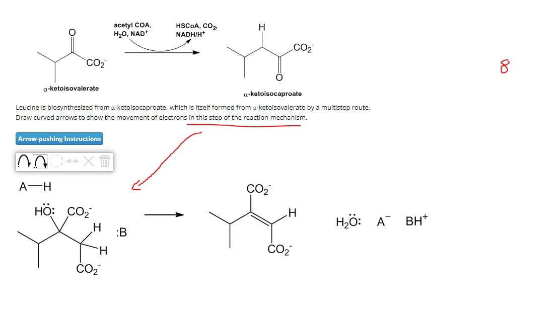 acetyl COA,
H₂O, NAD+
HSCOA, CO2,
NADH/H+
H
CO₂
CO₂
a-ketoisovalerate
a-ketoisocaproate
Leucine is biosynthesized from a-ketoisocaproate, which is itself formed from a-ketoisovalerate by a multistep route.
Draw curved arrows to show the movement of electrons in this step of the reaction mechanism.
Arrow-pushing Instructions
A-H
HO: CO₂
H
B
H
CO₂
CO2
CO₂
H
H₂O: A A BH+
00