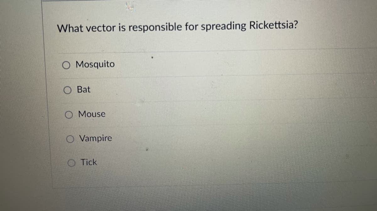 What vector is responsible for spreading Rickettsia?
O Mosquito
Bat
O Mouse
O Vampire
O Tick
