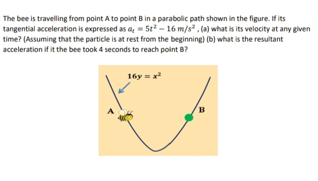 The bee is travelling from point A to point B in a parabolic path shown in the figure. If its
tangential acceleration is expressed as a = 5t² - 16 m/s², (a) what is its velocity at any given
time? (Assuming that the particle is at rest from the beginning) (b) what is the resultant
acceleration if it the bee took 4 seconds to reach point B?
16y = x²
B
A