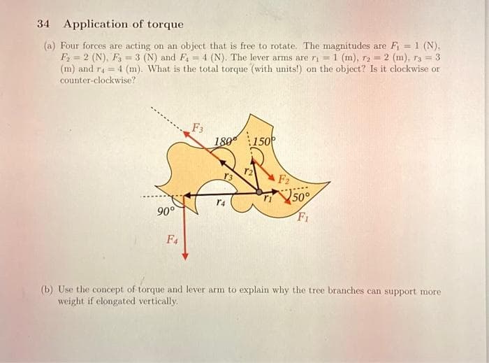 34 Application of torque
(a) Four forces are acting on an object that is free to rotate. The magnitudes are F₁ = 1 (N),
F₂= 2 (N), F3 = 3 (N) and F₁ = 4 (N). The lever arms are r₁= 1 (m), r2 = 2 (m), 73 = 3
(m) and r₁= 4 (m). What is the total torque (with units!) on the object? Is it clockwise or
counter-clockwise?
90°
F4
F3
180 150
T4
F2
50%
Fi
(b) Use the concept of torque and lever arm to explain why the tree branches can support more
weight if elongated vertically.