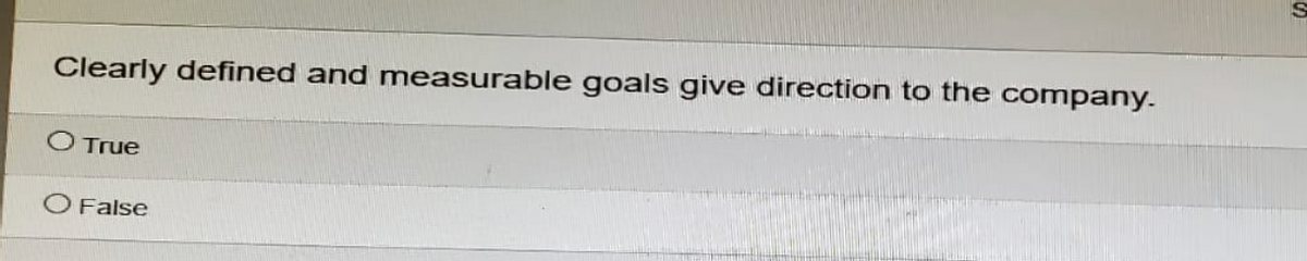 Clearly defined and measurable goals give direction to the company.
O True
O False