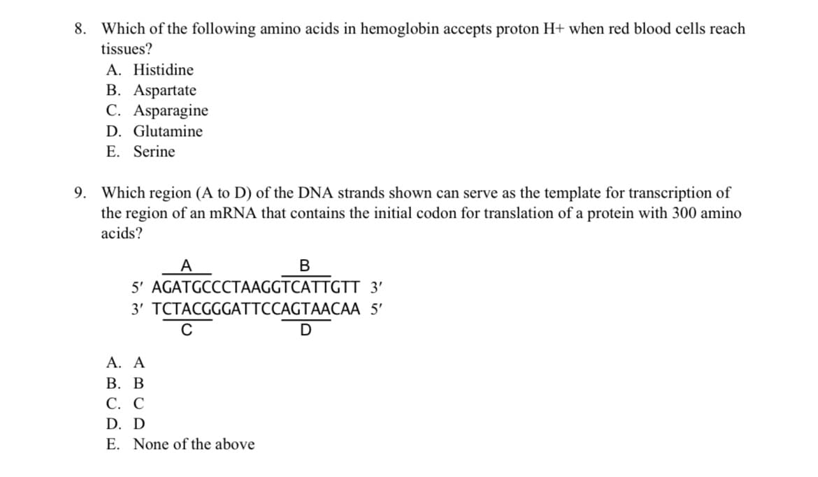 8. Which of the following amino acids in hemoglobin accepts proton H+ when red blood cells reach
tissues?
A. Histidine
B. Aspartate
C. Asparagine
D. Glutamine
E. Serine
9. Which region (A to D) of the DNA strands shown can serve as the template for transcription of
the region of an mRNA that contains the initial codon for translation of a protein with 300 amino
acids?
B
5' AGATGCCCТАAGGTCATTGTT 3'
3' TCTACGGGATTCCAGTAACAA 5'
C
A. Α
В. В
С. С
D. D
E. None of the above
