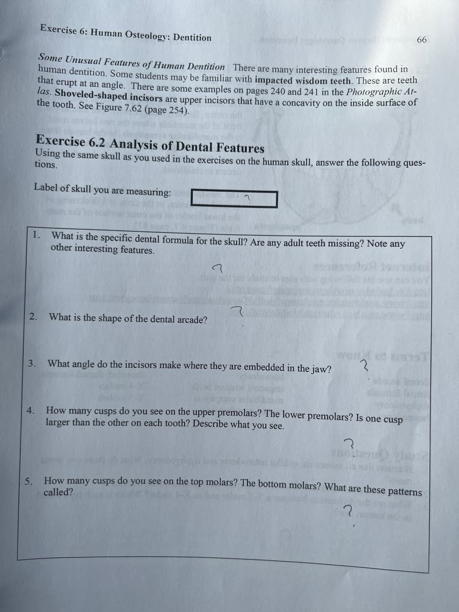 Exercise 6: Human Osteology: Dentition
Some Unusual Features of Human Dentition There are many interesting features found in
human dentition. Some students may be familiar with impacted wisdom teeth. These are teeth
that erupt at an angle. There are some examples on pages 240 and 241 in the Photographic At-
las. Shoveled-shaped incisors are upper incisors that have a concavity on the inside surface of
the tooth. See Figure 7.62 (page 254).
Exercise 6.2 Analysis of Dental Features
66
Using the same skull as you used in the exercises on the human skull, answer the following ques-
tions.
Label of skull you are measuring:
?
1. What is the specific dental formula for the skull? Are any adult teeth missing? Note any
other interesting features.
2. What is the shape of the dental arcade?
3. What angle do the incisors make where they are embedded in the jaw?
world of an
4. How many cusps do you see on the upper premolars? The lower premolars? Is one cusp
larger than the other on each tooth? Describe what you see.
า
5. How many cusps do you see on the top molars? The bottom molars? What are these patterns
called?
?