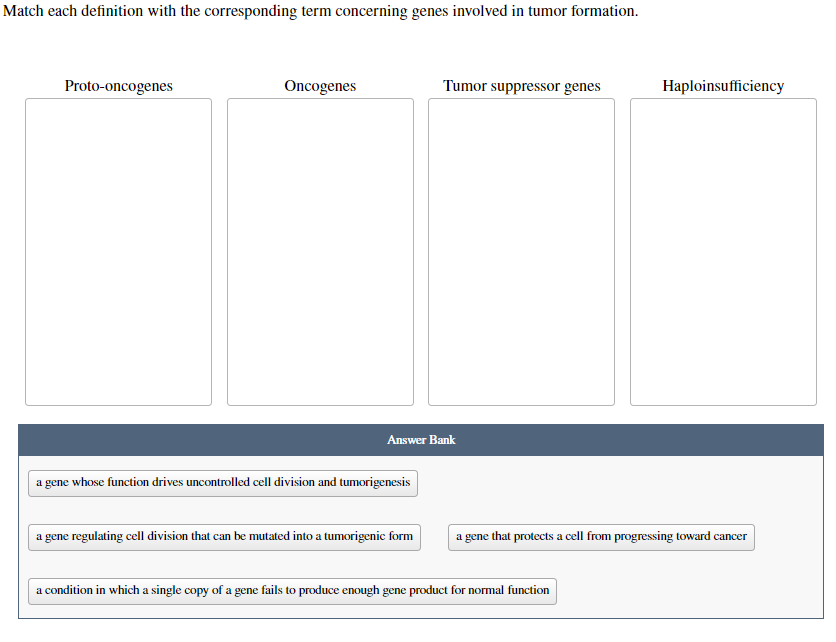 Match each definition with the corresponding term concerning genes involved in tumor formation.
Proto-oncogenes
Oncogenes
Tumor suppressor genes
Haploinsufficiency
Answer Bank
a gene whose function drives uncontrolled cell division and tumorigenesis
a gene regulating cell division that can be mutated into a tumorigenic form
a gene that protects a cell from progressing toward cancer
a condition in which a single copy of a gene fails to produce enough gene product for normal function
