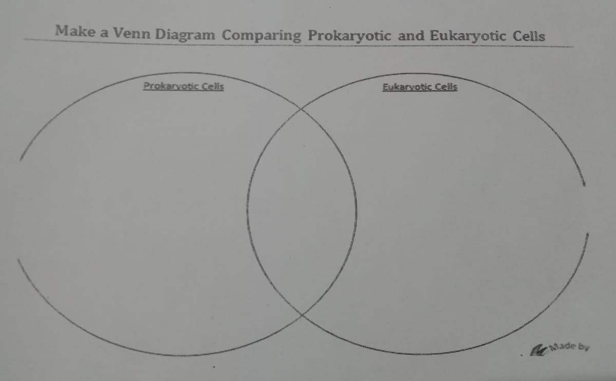Make a Venn Diagram Comparing Prokaryotic and Eukaryotic Cells
Prokarvotic Cells
Eukarvotic Cells
oMade by
