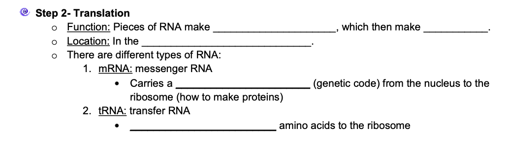 Step 2- Translation
O Function: Pieces of RNA make
O
Location: In the
There are different types of RNA:
1. mRNA: messenger RNA
O
Carries a
ribosome (how to make proteins)
2. tRNA: transfer RNA
which then make
(genetic code) from the nucleus to the
amino acids to the ribosome