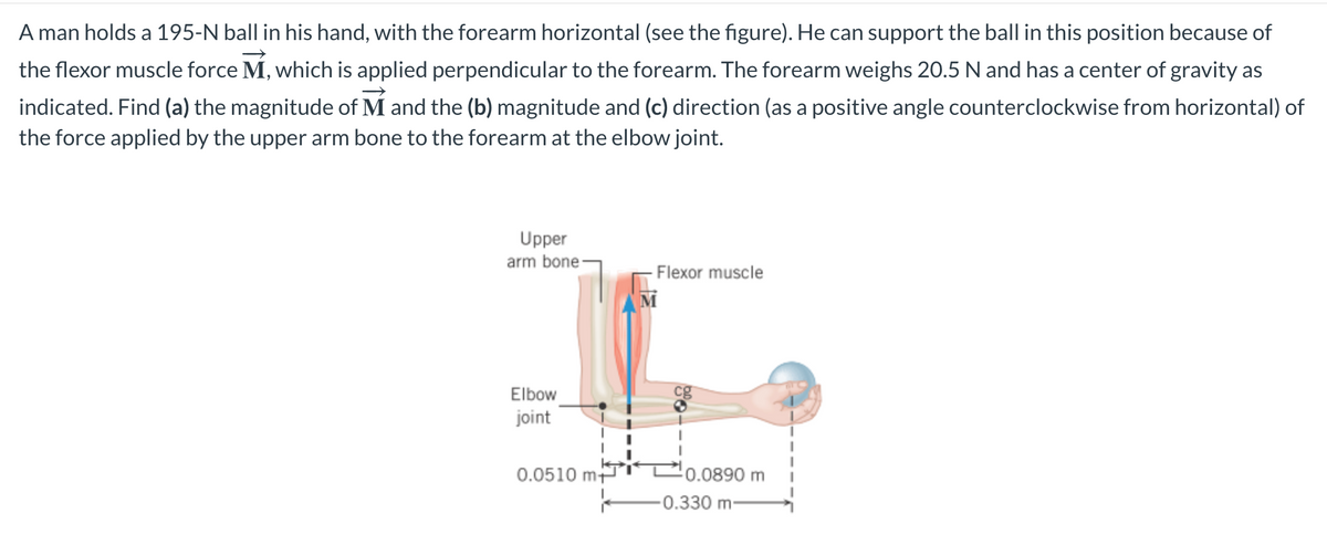 A man holds a 195-N ball in his hand, with the forearm horizontal (see the figure). He can support the ball in this position because of
the flexor muscle force M, which is applied perpendicular to the forearm. The forearm weighs 20.5 N and has a center of gravity as
indicated. Find (a) the magnitude of M and the (b) magnitude and (c) direction (as a positive angle counterclockwise from horizontal) of
the force applied by the upper arm bone to the forearm at the elbow joint.
Upper
arm bone-
Elbow
joint
0.0510 m+
- Flexor muscle
0.0890 m
0.330 m-