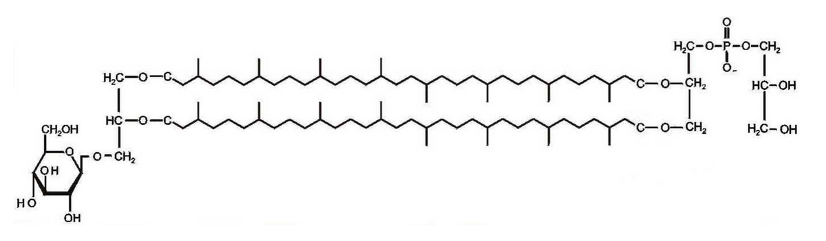 HC-0-P-0-CH,
O.
H,C-
O-CH,
HC-OH
HC
CH,OH
0-CH2
H,C- OH
O-CH2
он
но
OH
