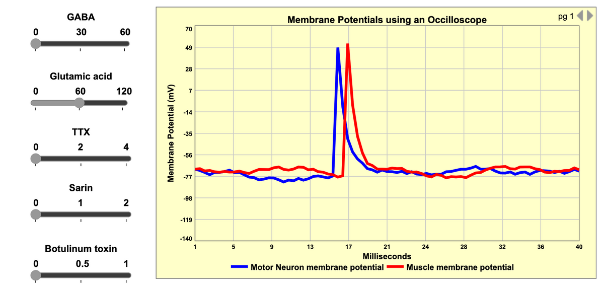 GABA
30
Glutamic acid
60 120
TTX
2
Sarin
1
I
Botulinum toxin
0.5
60
I
4
2
I
1
Membrane Potential (mv)
70
49
28
7
-14
-35
-56
-77
-98
-119
-140
1
5
9
Membrane Potentials using an Occilloscope
13
17
21
Milliseconds
24
28
32
Motor Neuron membrane potential Muscle membrane potential
36
pg 1
40