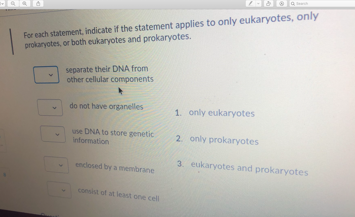 Search
For each statement, indicate if the statement applies to only eukaryotes, only
prokaryotes, or both eukaryotes and prokaryotes.
separate their DNA from
other cellular components
do not have organelles
1. only eukaryotes
use DNA to store genetic
information
2. only prokaryotes
enclosed by a membrane
3. eukaryotes and prokaryotes
consist of at least one cell
