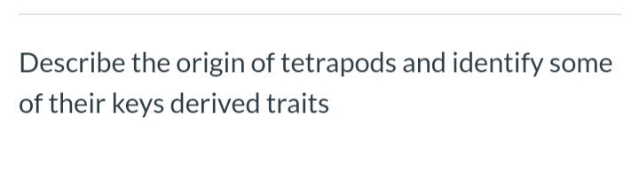 Describe the origin of tetrapods and identify some
of their keys derived traits
