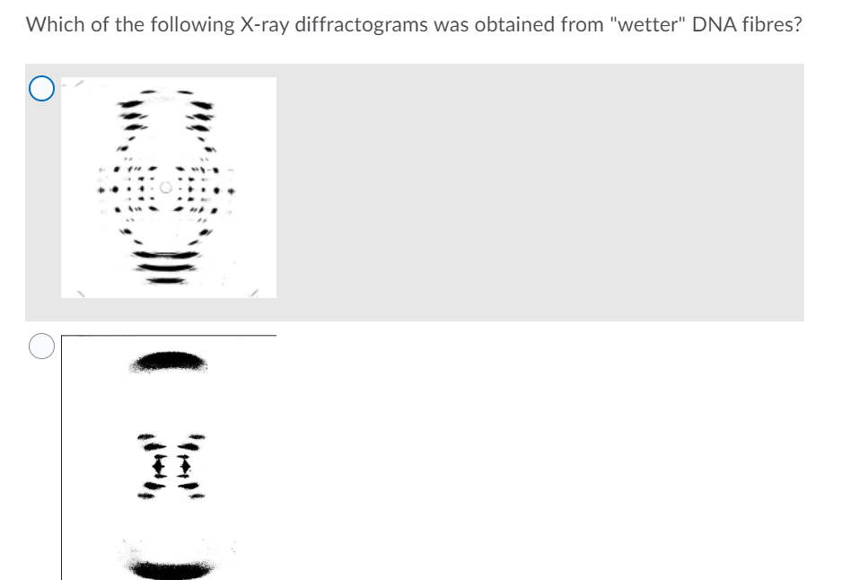 Which of the following X-ray diffractograms was obtained from "wetter" DNA fibres?
