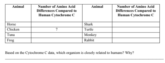 Animal
Number of Amino Acid
Animal
Number of Amino Acid
Differences Compared to
Human Cytochrome C
Differences Compared to
Human Cytochrome C
Horse
Chicken
Shark
7
Turtle
Monkey
Rabbit
Tuna
Frog
Based on the Cytochrome C data, which organism is closely related to humans? Why?
