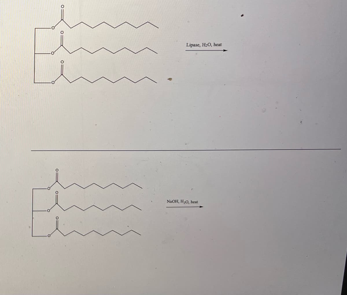 Lipase, H2O, heat
NAOH, H,O, heat
o
