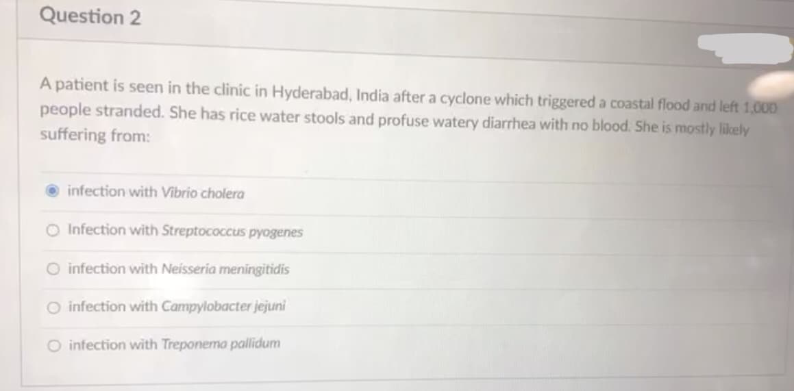 Question 2
A patient is seen in the clinic in Hyderabad, India after a cyclone which triggered a coastal flood and left 1,00)
people stranded. She has rice water stools and profuse watery diarrhea with no blood. She is mostly likely
suffering from:
O infection with Vibrio cholera
O Infection with Streptococcus pyogenes
O infection with Neisseria meningitidis
O infection with Campylobacter jejuni
O infection with Treponema pallidum
