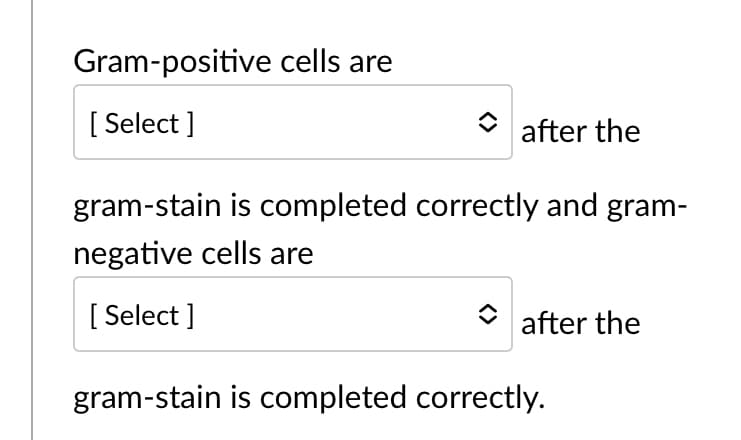 Gram-positive cells are
[ Select ]
after the
gram-stain is completed correctly and gram-
negative cells are
[ Select ]
after the
gram-stain is completed correctly.
