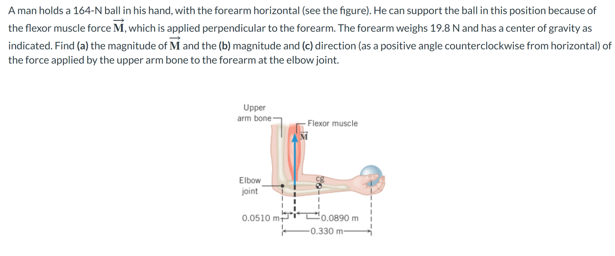 A man holds a 164-N ball in his hand, with the forearm horizontal (see the figure). He can support the ball in this position because of
the flexor muscle force M, which is applied perpendicular to the forearm. The forearm weighs 19.8 N and has a center of gravity as
indicated. Find (a) the magnitude of M and the (b) magnitude and (c) direction (as a positive angle counterclockwise from horizontal) of
the force applied by the upper arm bone to the forearm at the elbow joint.
Upper
arm bone-
Elbow
joint
0.0510 m+
Flexor muscle
M
-0.0890 m
0.330 m-