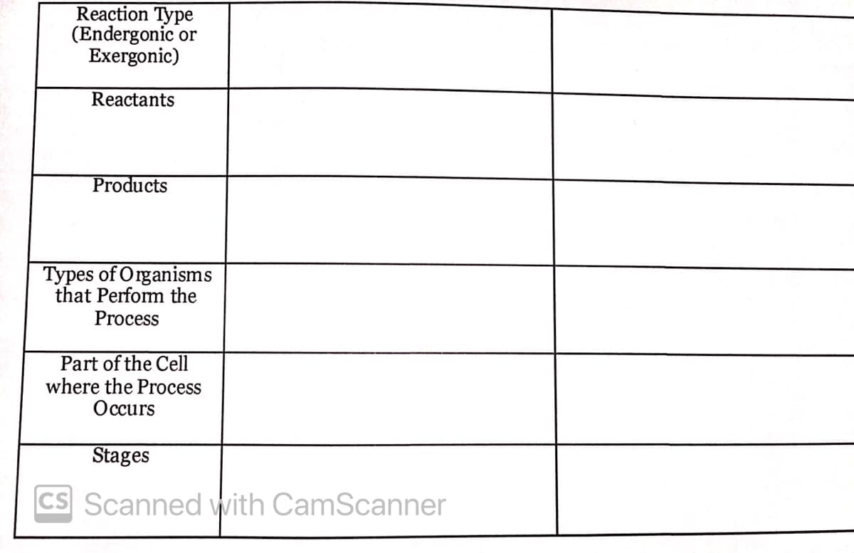 Reaction Type
(Endergonic or
Exergonic)
Reactants
Products
Types of Organisms
that Perform the
Process
Part of the Cell
where the Process
Occurs
Stages
CS Scanned with CamScanner
