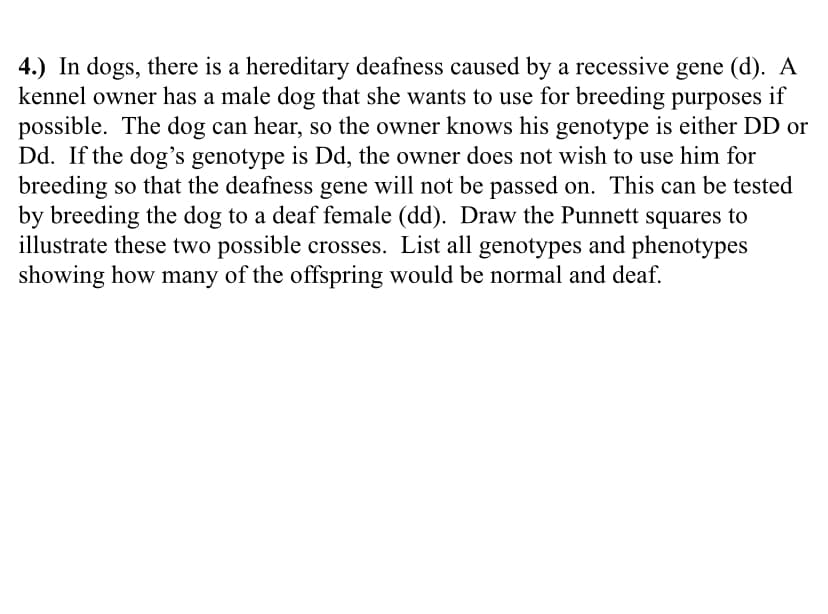 4.) In dogs, there is a hereditary deafness caused by a recessive gene (d). A
kennel owner has a male dog that she wants to use for breeding purposes if
possible. The dog can hear, so the owner knows his genotype is either DD or
Dd. If the dog's genotype is Dd, the owner does not wish to use him for
breeding so that the deafness gene will not be passed on. This can be tested
by breeding the dog to a deaf female (dd). Draw the Punnett squares to
illustrate these two possible crosses. List all genotypes and phenotypes
showing how many of the offspring would be normal and deaf.
